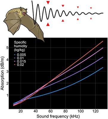 Atmospheric humidity affects global variation of bat echolocation via indirect effects